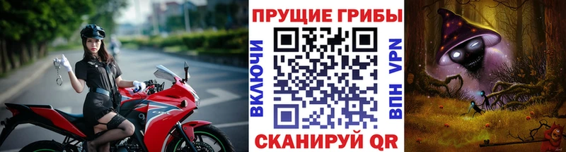 Галлюциногенные грибы мухоморы  Гдов 